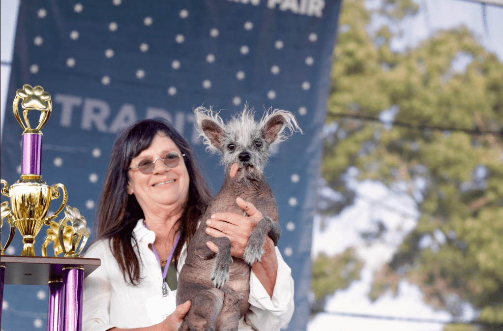 world's ugliest dog