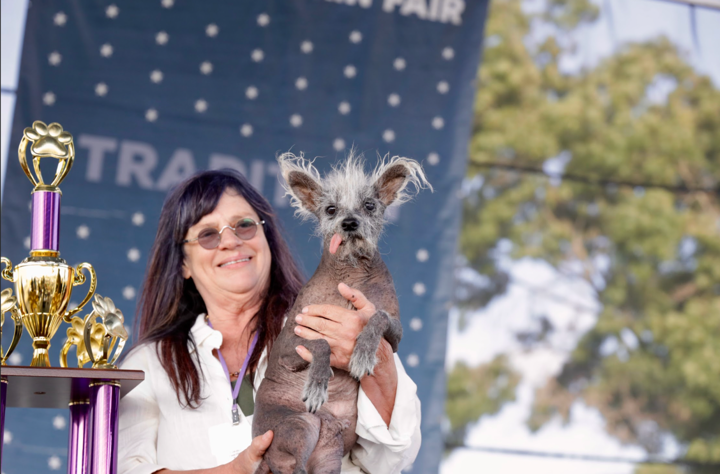 world's ugliest dog