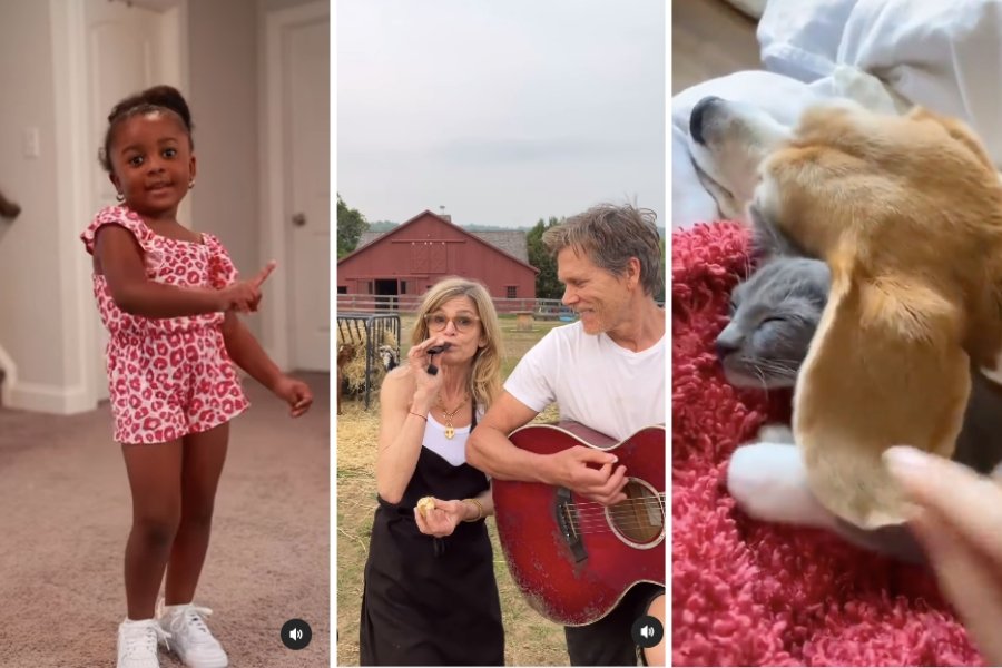 VanVan on Instagram, Kevin Bacon and Kyra Sedgwick singing, sleepy dog and cat