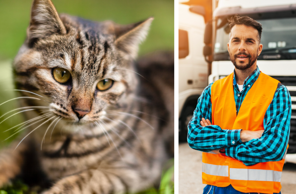 ​lost kitty, neighbors, friendships, charity, humane society