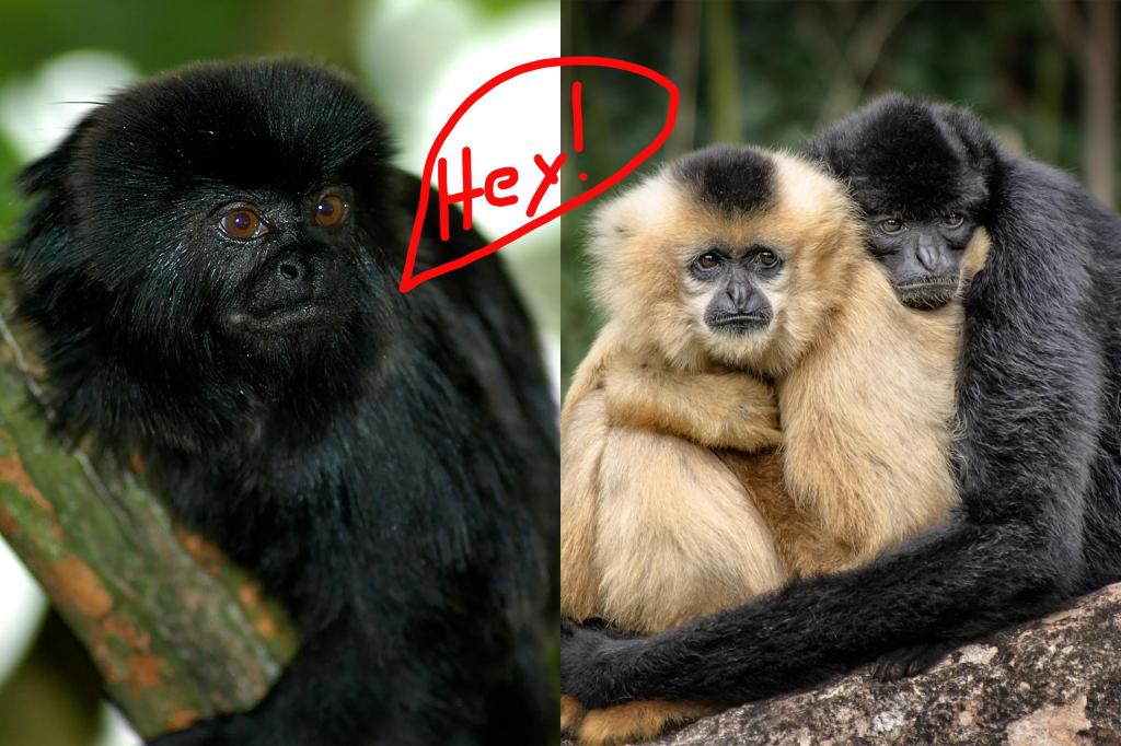 science, research, biology, mental health, jealousy