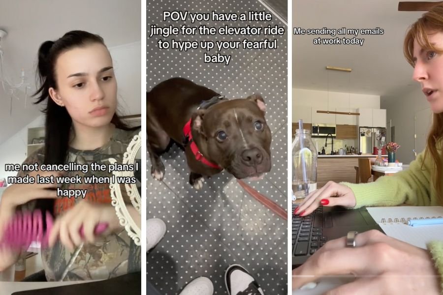 dogs of tiktok, dogs, brave dog anthem tiktok