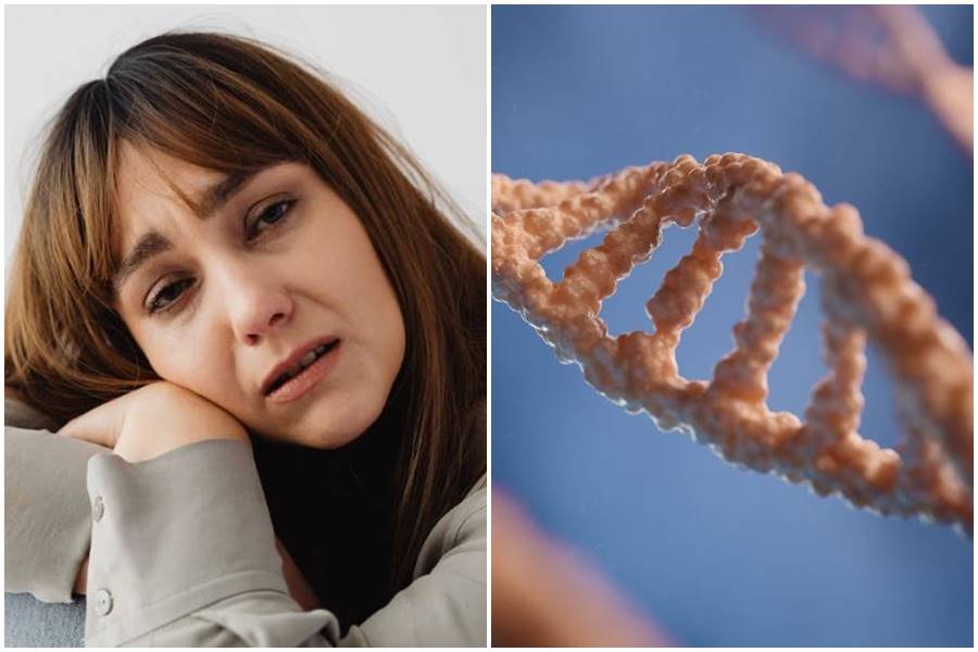 dna tests, paternity, friends