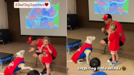 dog sign language, cole deaf pitbull, chris hannah