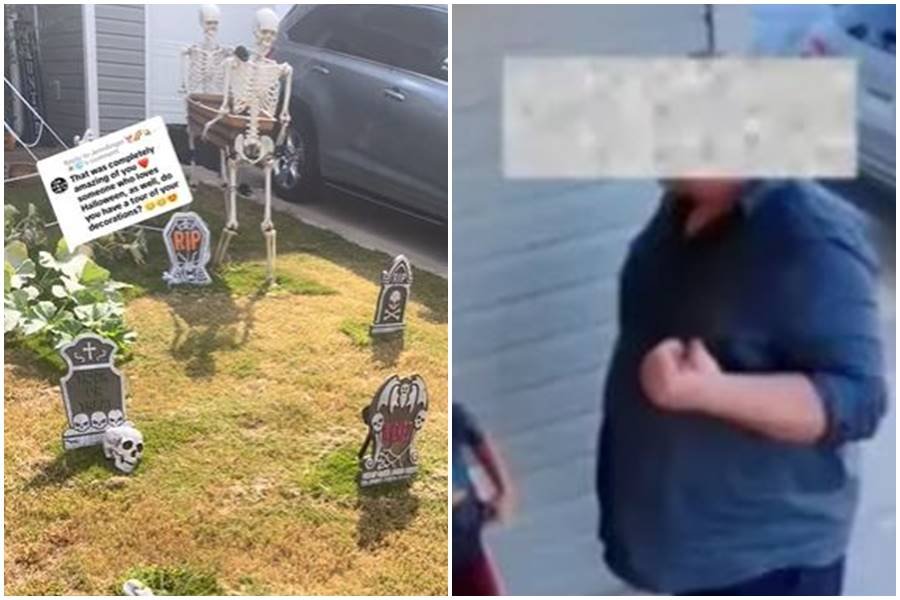 salena webb, halloween decorations, nieghbors