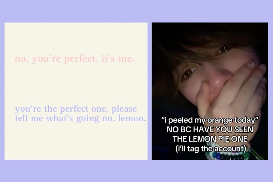 lemon pie story, orange peel story, sad tiktok stories, tiktok slideshow, heartbreak