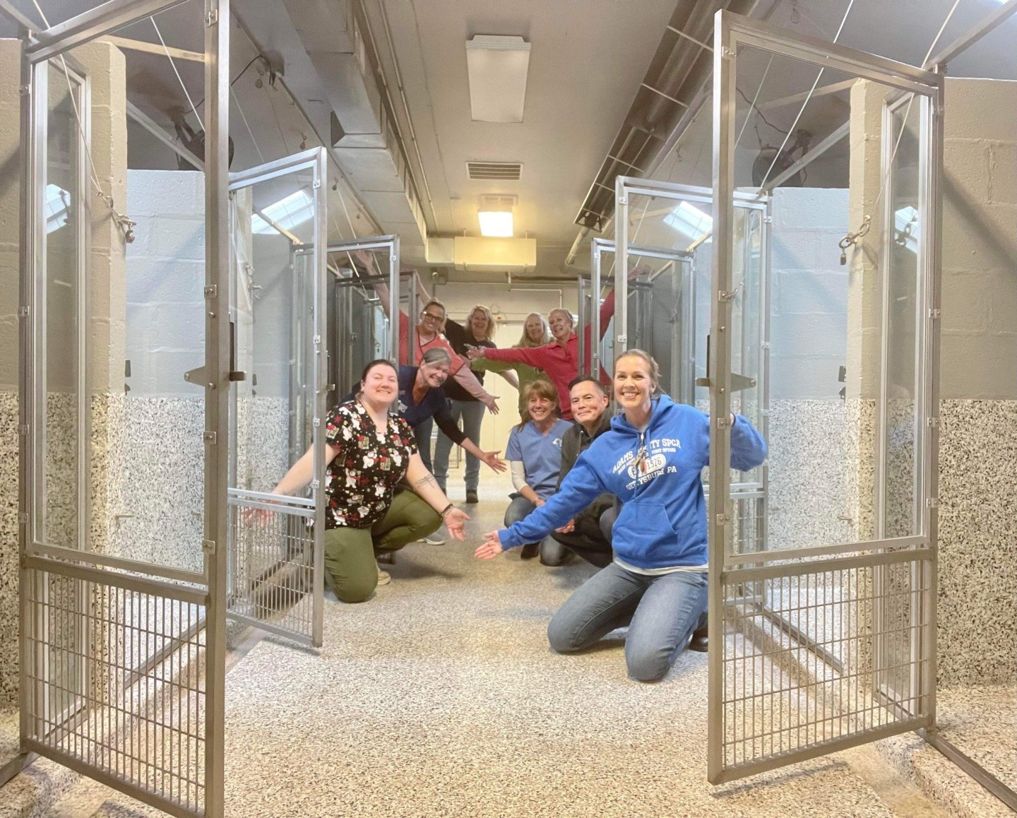 animal shelters near me, rescue dog, spca