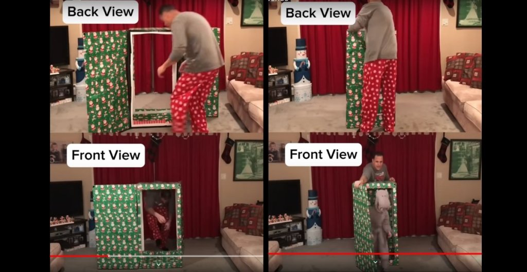 front and back view of a box illusion