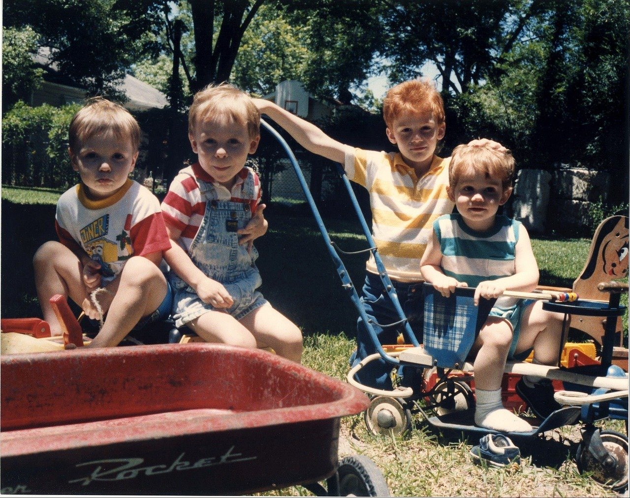 cousins, relationships, birthrate