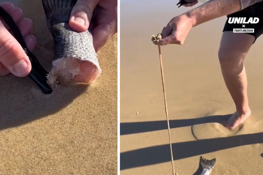 man pulling a worm from the sand with pliers