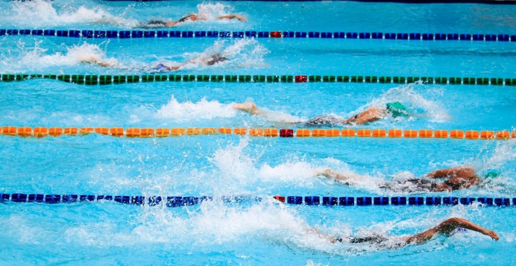 swimmers in a lap pool