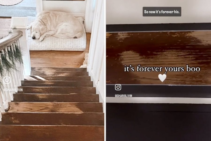 dog sleeping at the bottom of a staircase