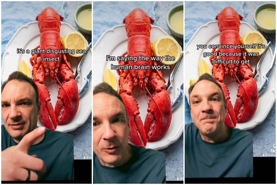 lobster, scarcity, jason pargin