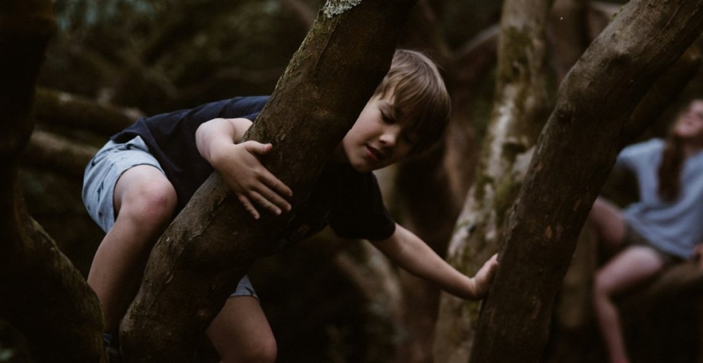 kid climbing a tree
