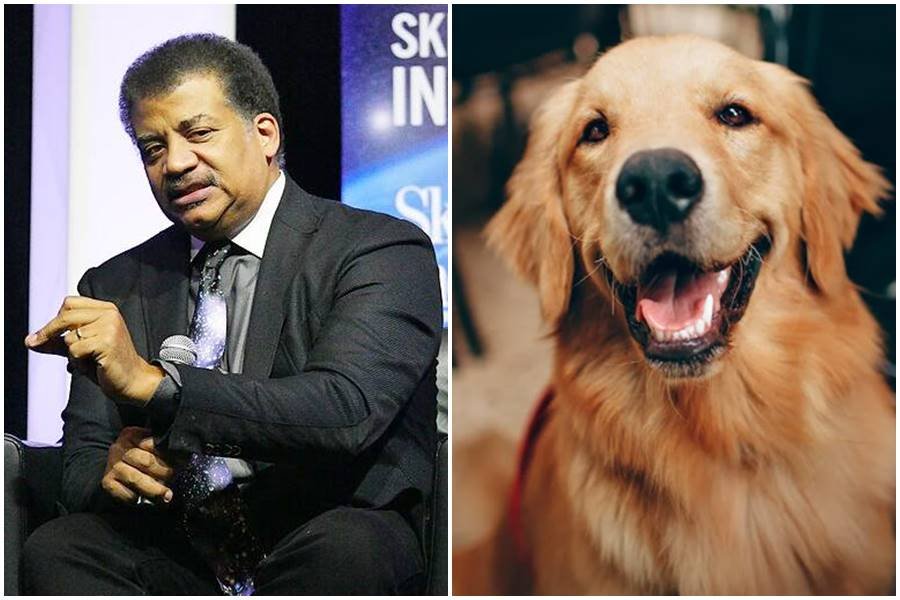 neil degreasse tyson, dogs, dog's lifespan