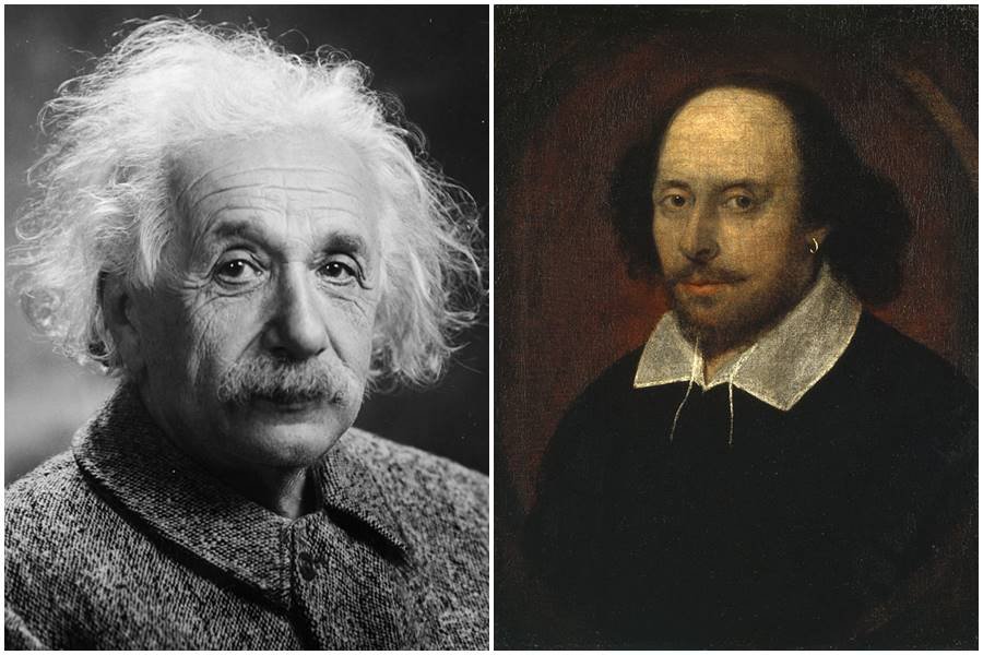 genius, julian de medeiros, schopenhauer