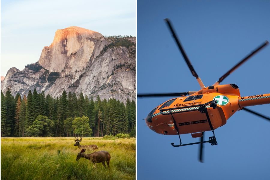 deer at Yosemite National Park, air ambulance helicopter