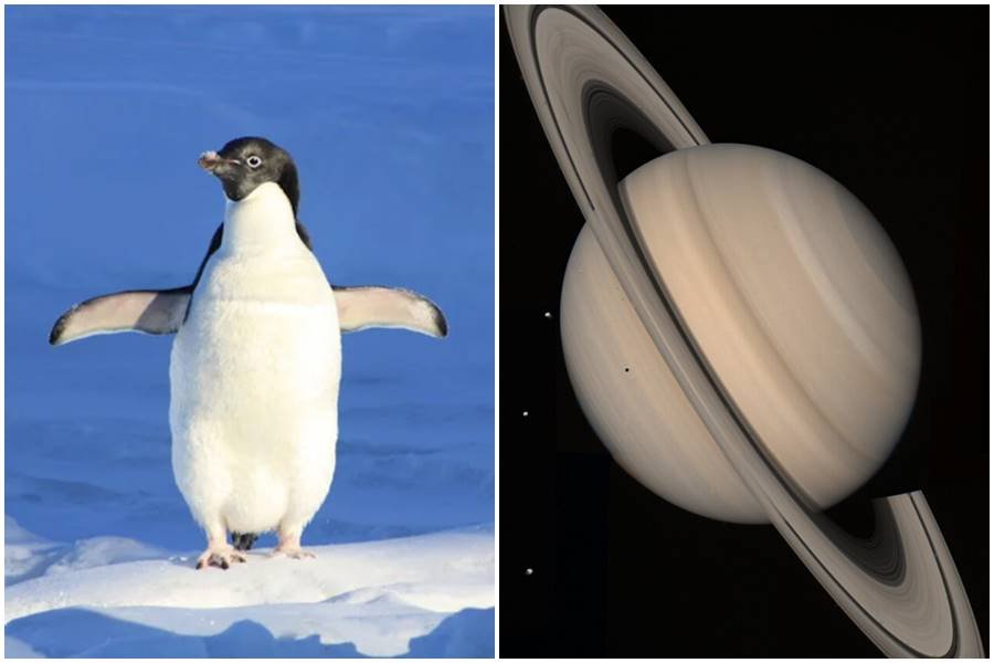 random facts, trivia, reddit