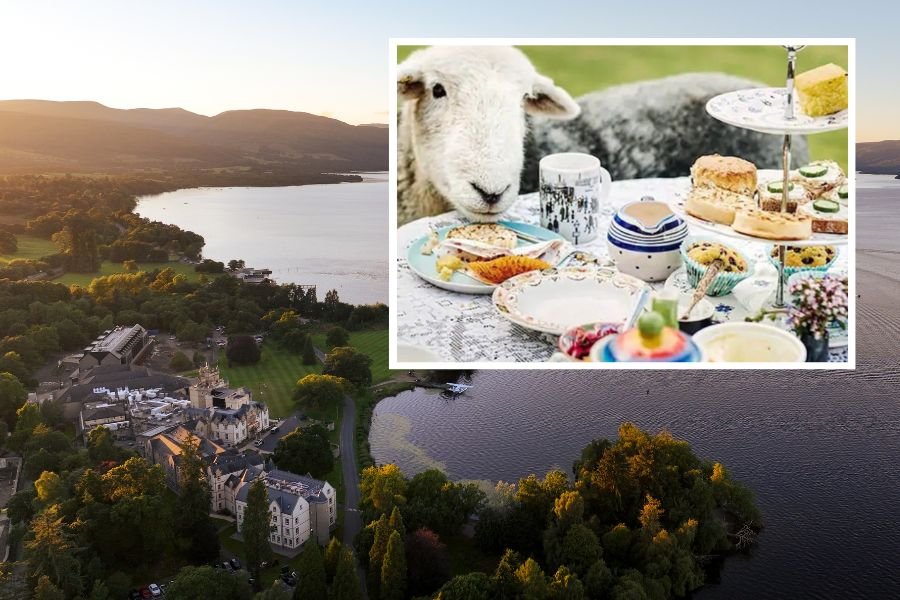 cameron house grounds from the air