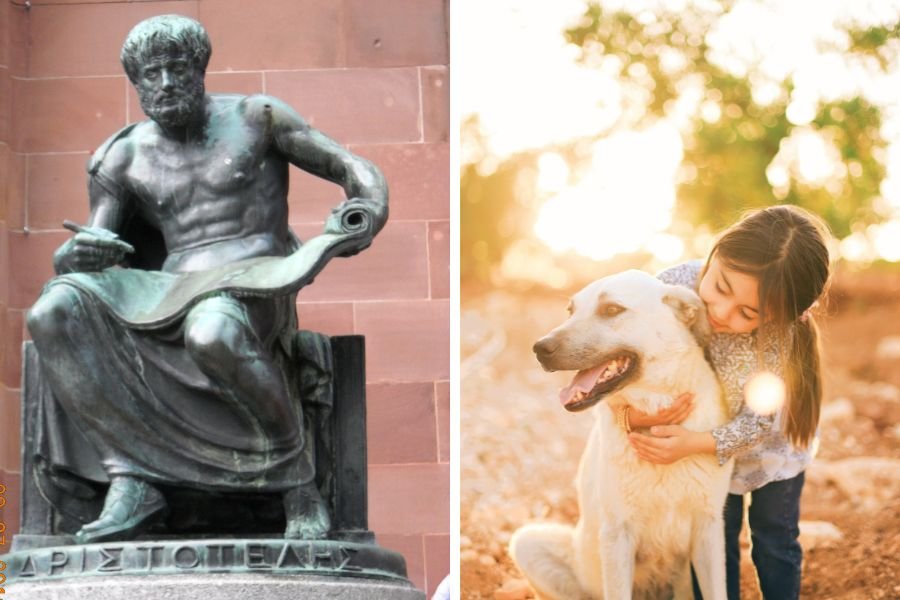 dog lifespan; life span of dogs; why people live longer than dogs; people and dogs; man's best friend