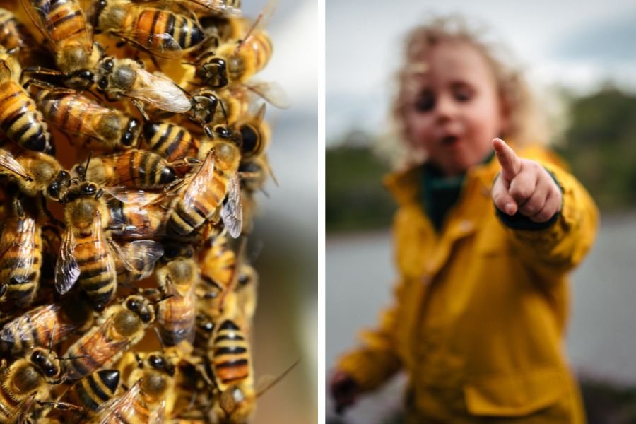50k bees in wall; toddler afraid of monsters; mom doesn't believe monsters; monsters are bees; parenting