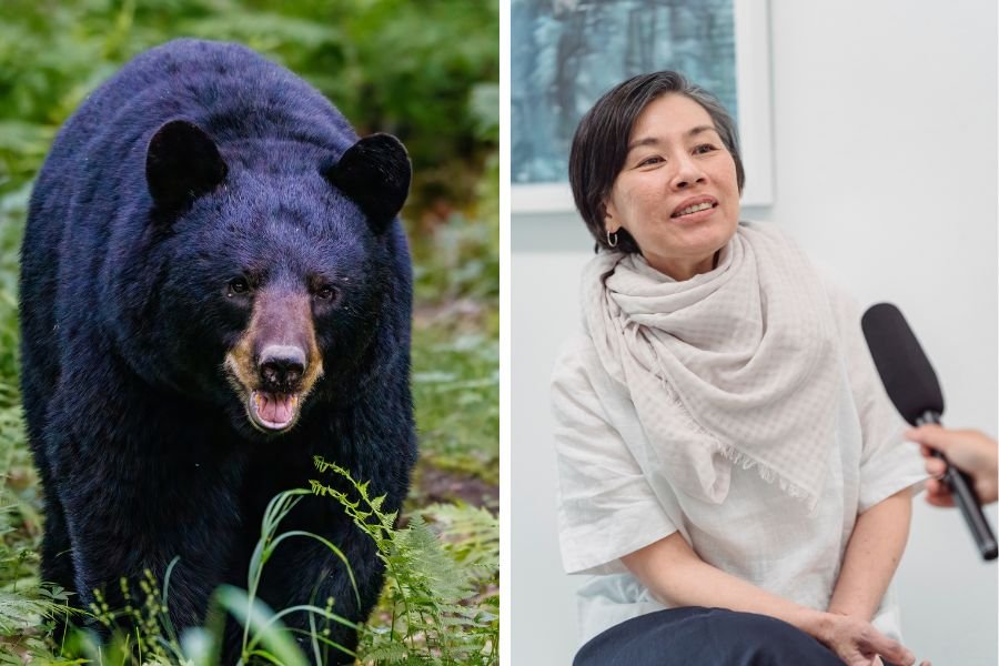 man or bear; man or bear questions; viral tiktok; hypothetical questions; women choose bear