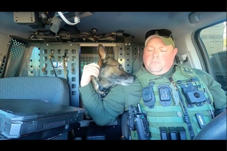 police officer with K-9 officer in police car