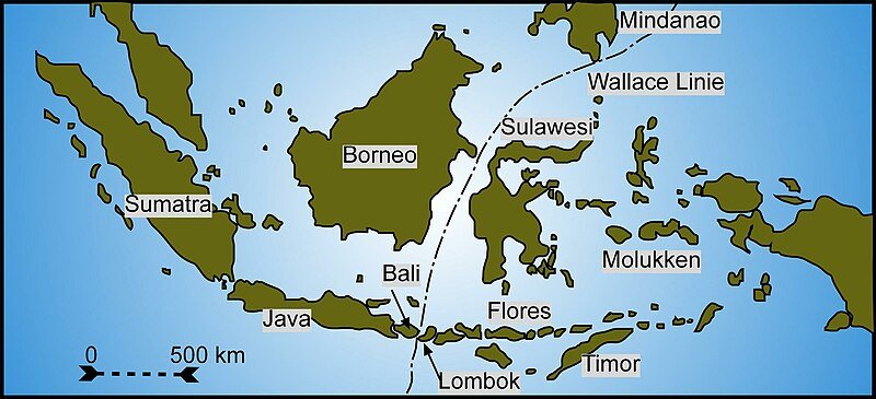 wallace line, pbs eons, biodiversity