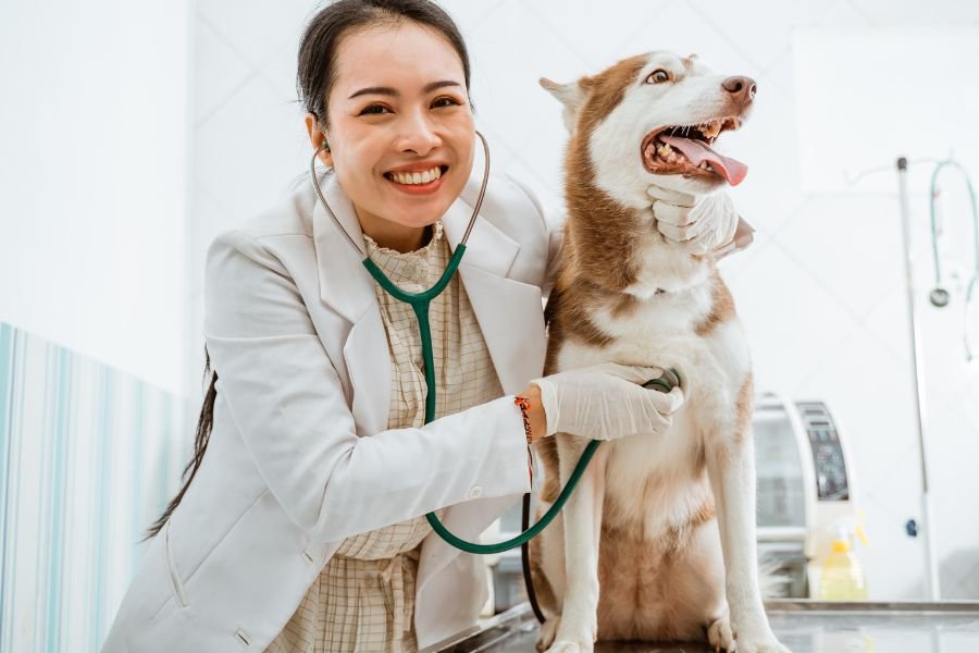 ask reddit, overrated jobs, jobs near me