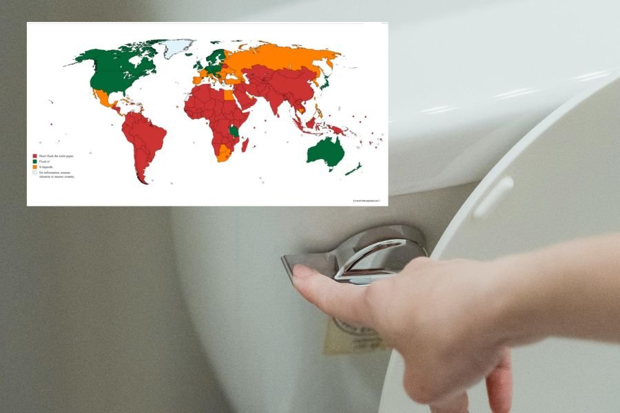 person flushing a toilet