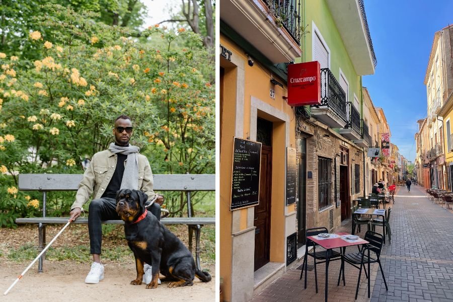 service dogs; emotional support animals; fake service dogs; fake service dog vest; guide dog