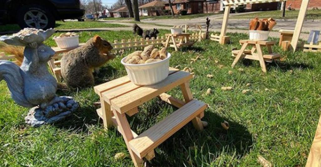 restaurants, squirrels, art, pop culture