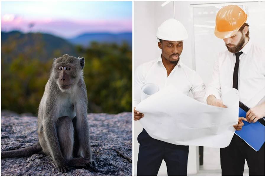 monkey and pedestal, problem solving, astro teller