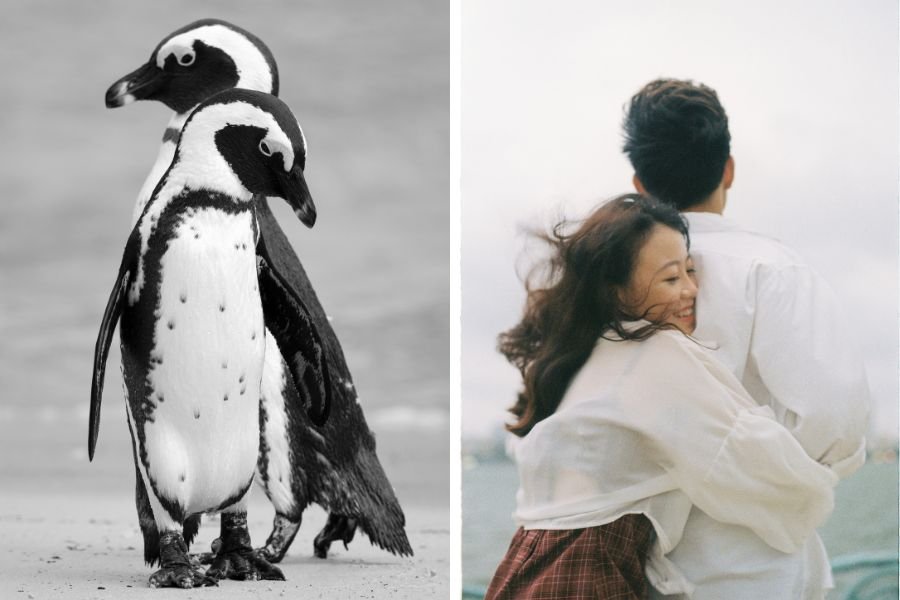 pebbling; what is pebbling; women sharing videos; men sharing videos; sharing videos love language