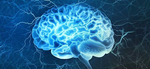 neuroscience, brains, persuasion