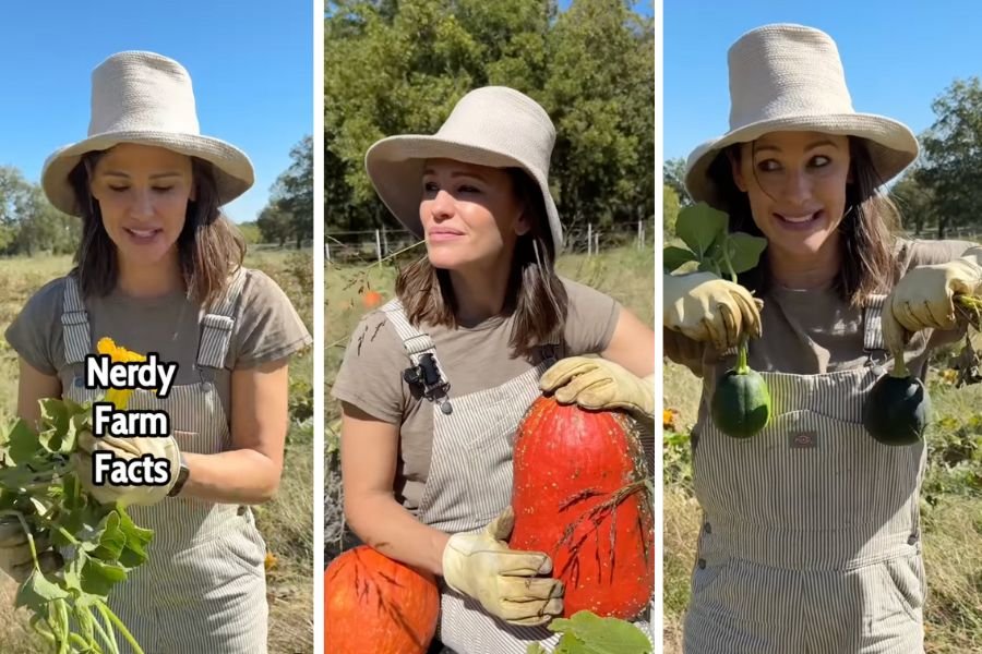 jennifer garner, growing pumpkins