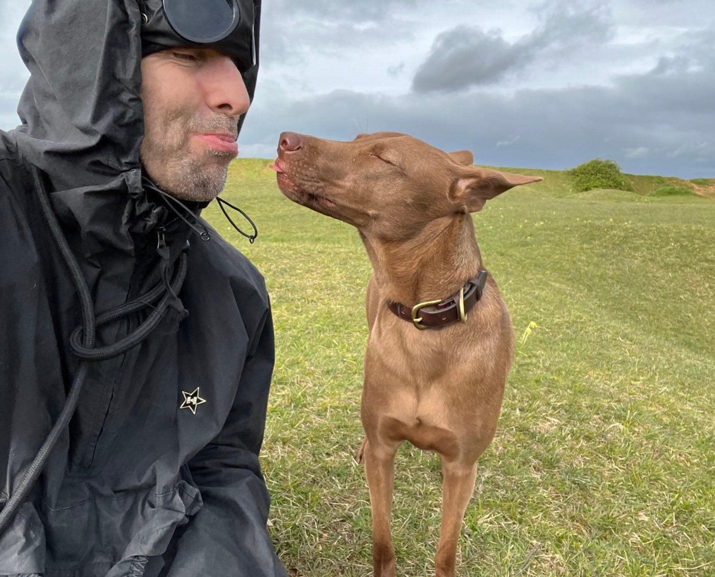 liam gallagher, buttons, happy doggo