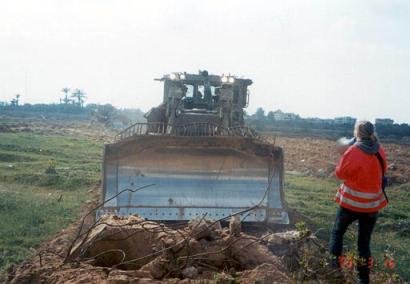 rachel corrie, gaza, maya angelou