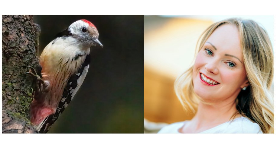 dating, dating red flags, dating apps, bird test, john gottman, bids for connection