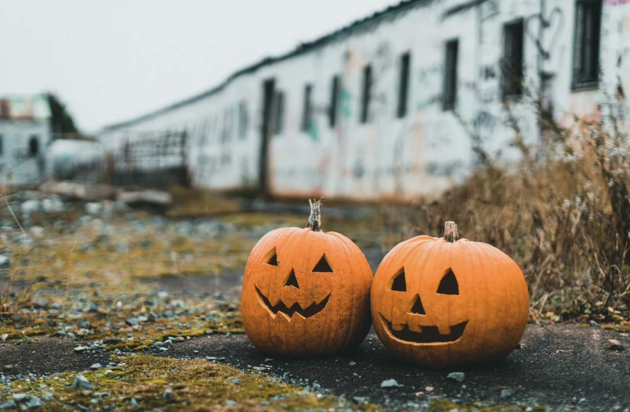 growing older, ask reddit, halloween decor