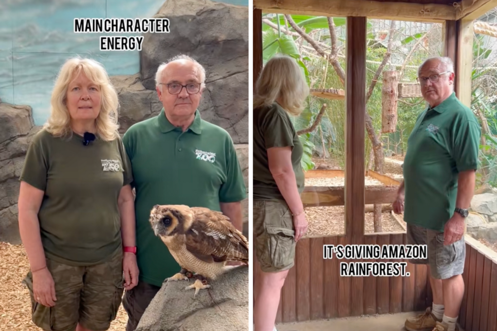 Screenshots of zookeepers giving tour of the zoo with owl