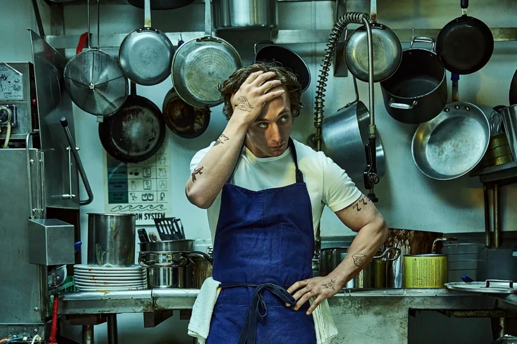 the bear, the bear carmen