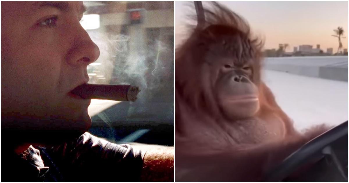 the sopranos, driving ape, tony soprano