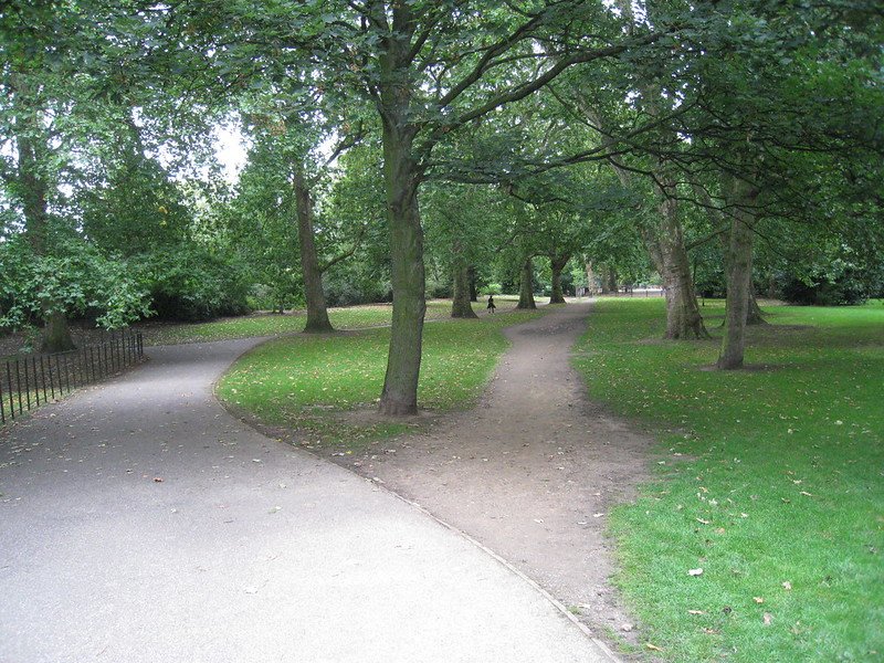 A paved path with dirt path branching off through trees