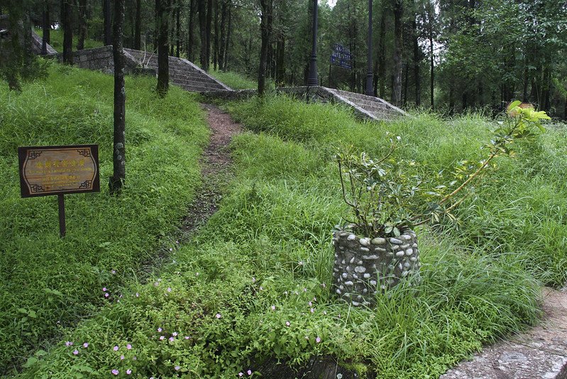 A path work into tall grass next to stairs
