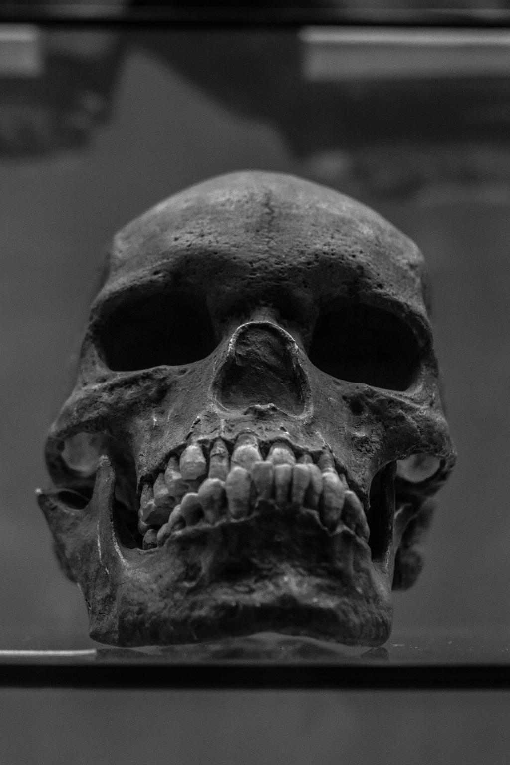 how diet changed speech