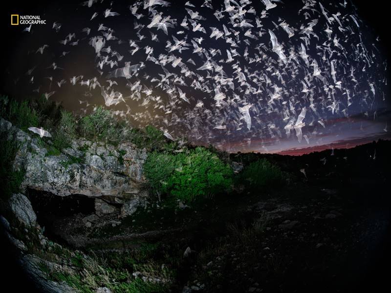 nat geo, year in pictures, texas