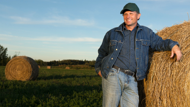 conservatives, liberals, studies