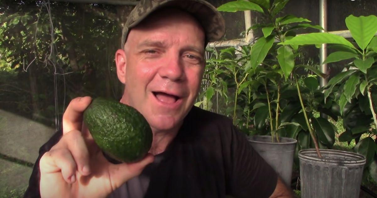 a man holding an avocado