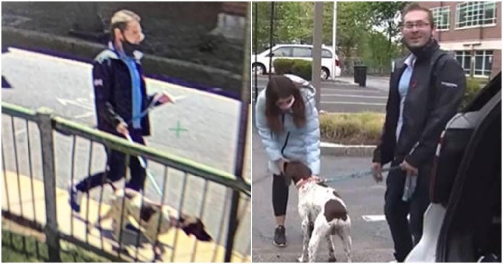 a screenshot of a masked man walking a dog; screenshot of a man and woman with a dog